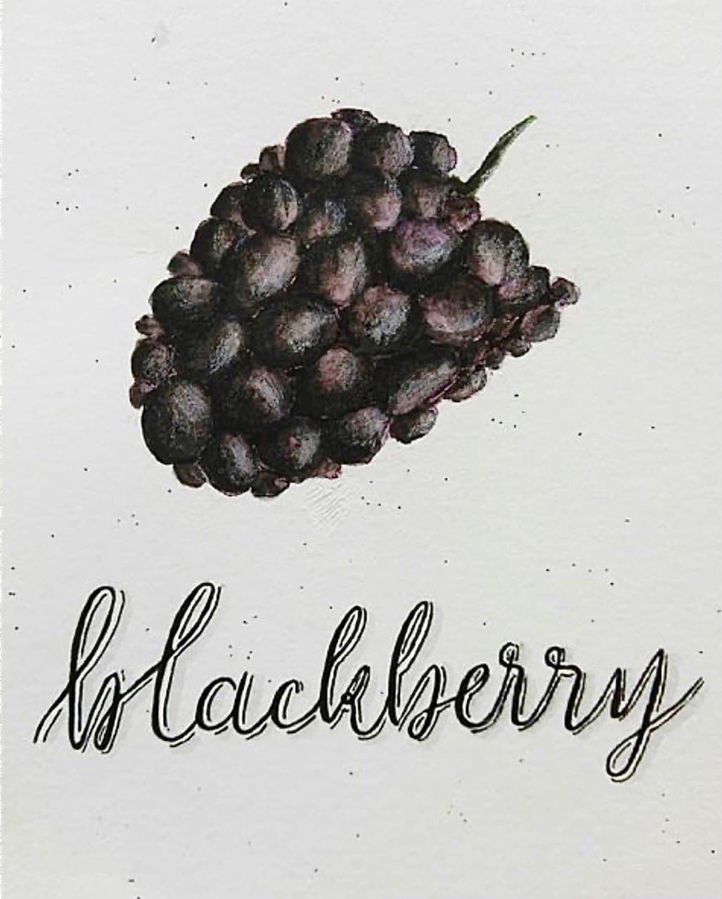 Aquarelle painting of a blackberry.